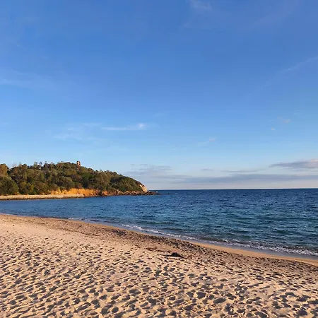 Terra De Oro أرباتاكْسْ